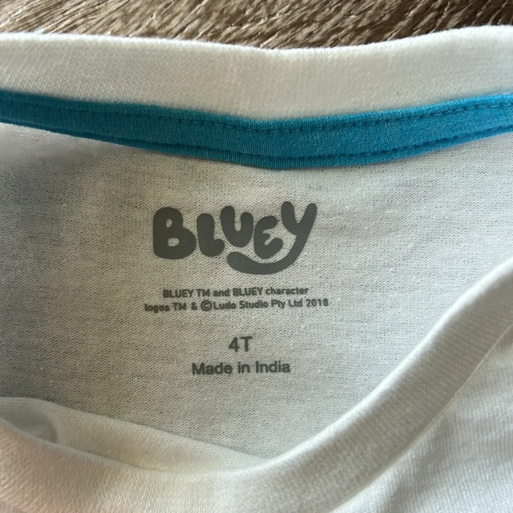 Bluey NWT Boys Shirt and Shorts Set size 4T - Picture 4 of 9